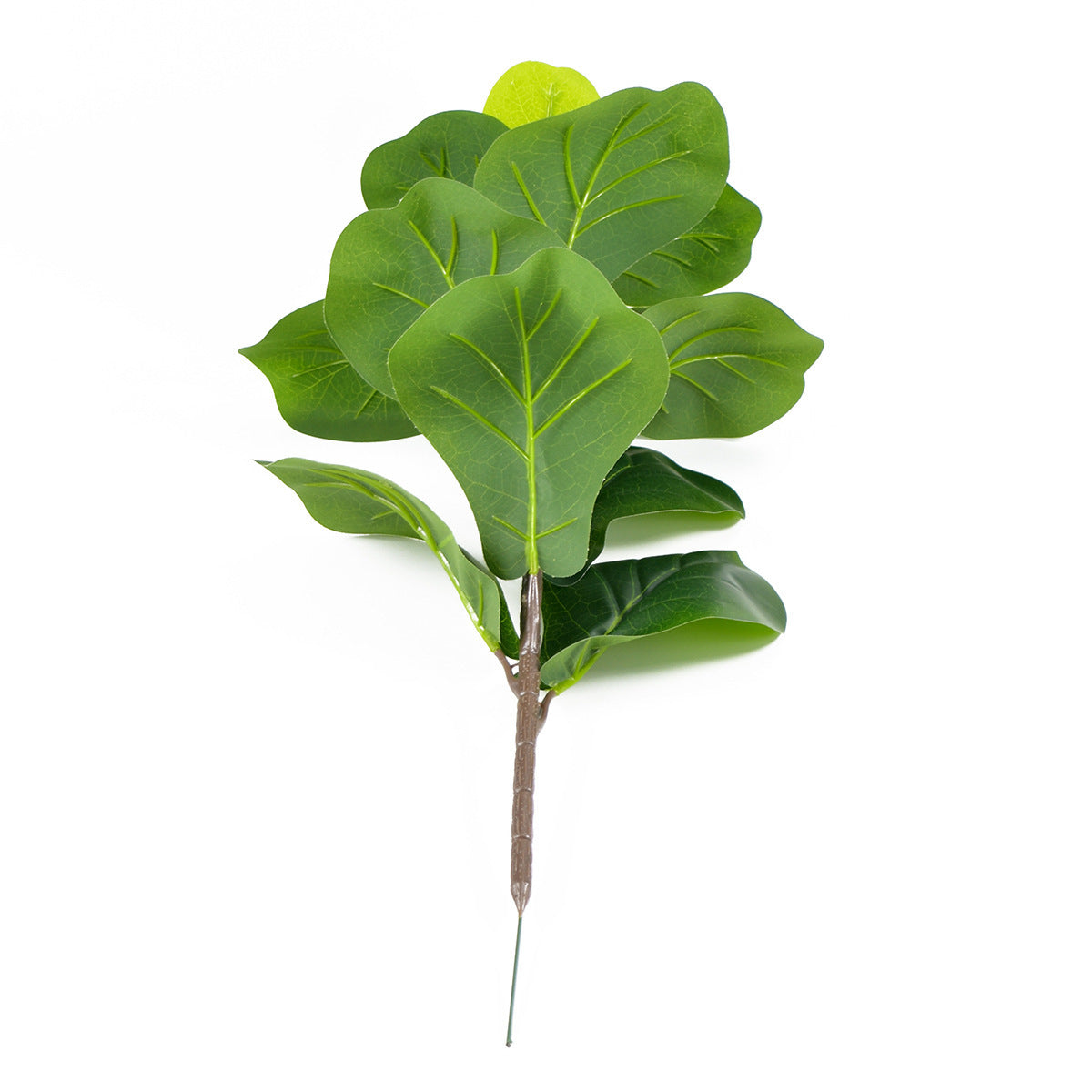Nordic Style Potted Plants And Green Plants For Home Decoration